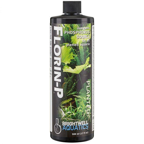 Florin-P