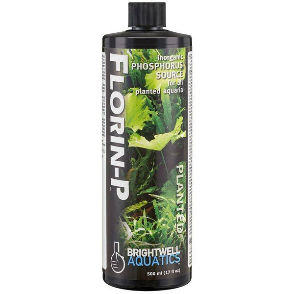 Florin-P