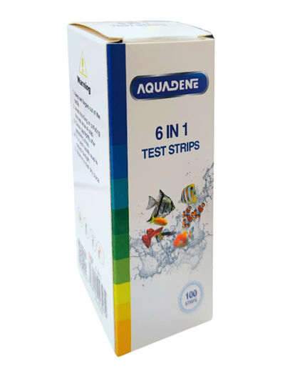 6 in 1 Test Strips