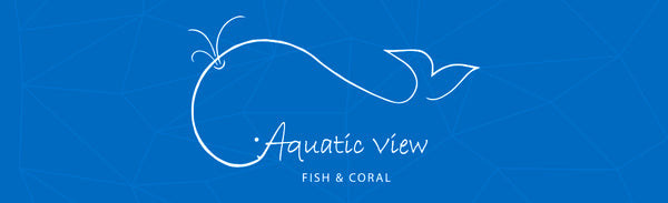 Aquatic View