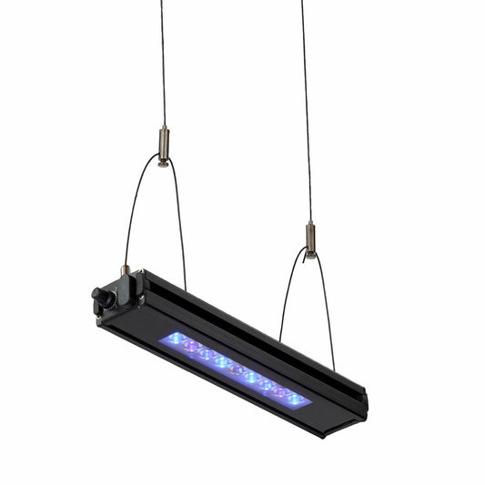 Meridian Edge 12