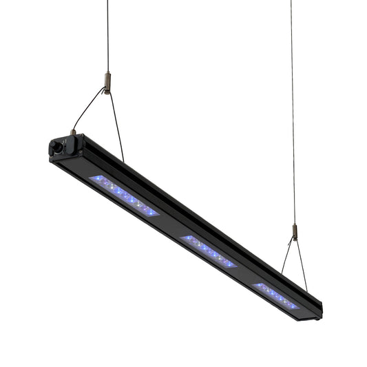 Meridian Edge 35