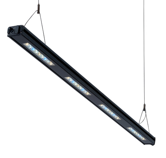 Meridian Edge 45