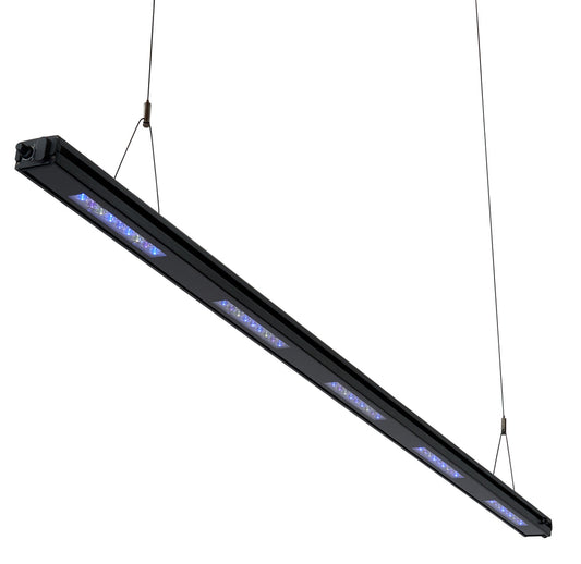 Meridian Edge 63
