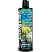 Water Treatment